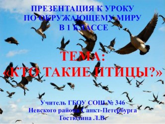 Урок окружающего мира в 1 классе : Кто такие птицы? план-конспект урока по окружающему миру (1 класс)