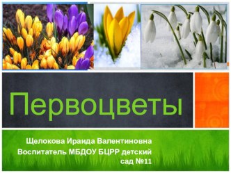 Презентация. презентация к уроку по окружающему миру (средняя группа)