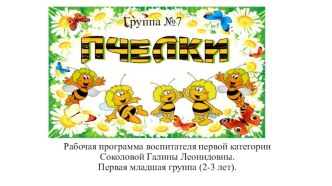 Презентация рабочей программы воспитателя первой категории Соколовой Галины Леонидовны. Первая младшая группа( 2-3 лет) презентация по теме