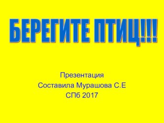 Презентация Берегите птиц презентация к уроку по окружающему миру (старшая группа)