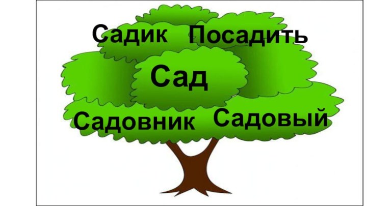 СадСадикПосадитьСадовникСадовый