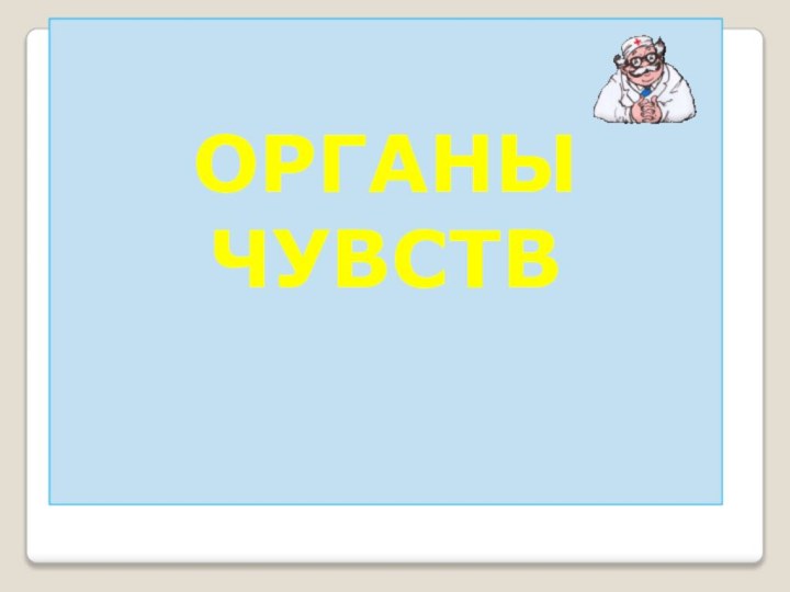 ОРГАНЫ ЧУВСТВ