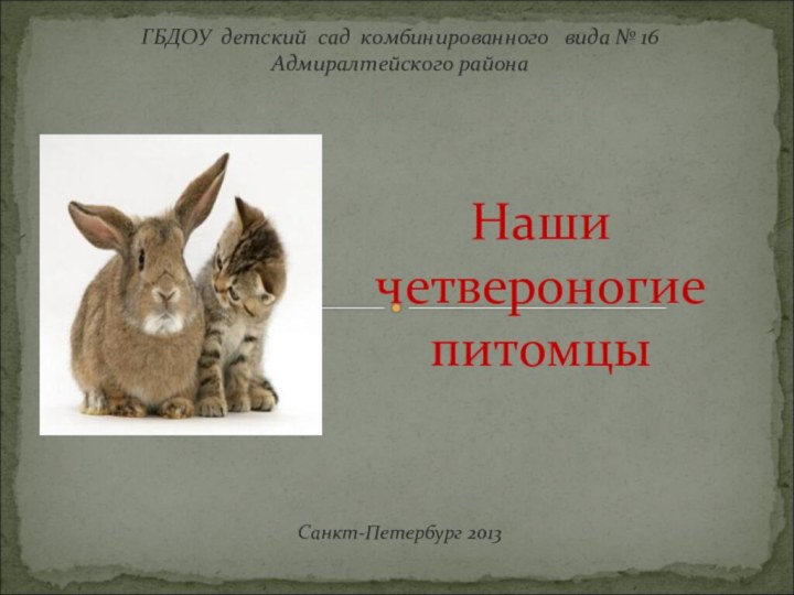 Санкт-Петербург 2013ГБДОУ детский сад комбинированного  вида № 16 Адмиралтейского районаНаши четвероногие питомцы