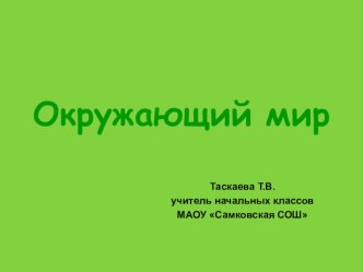 Презентация к уроку окружающего мира в 1 классе Как живут животные презентация к уроку по окружающему миру (1 класс)