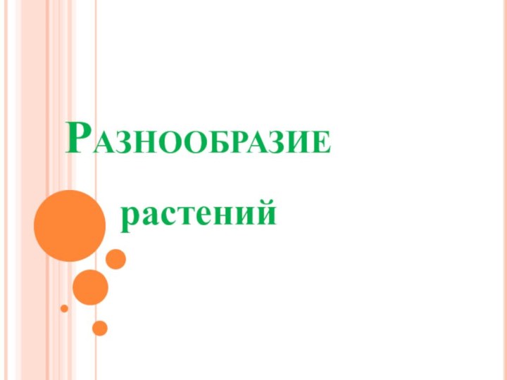 Разнообразиерастений