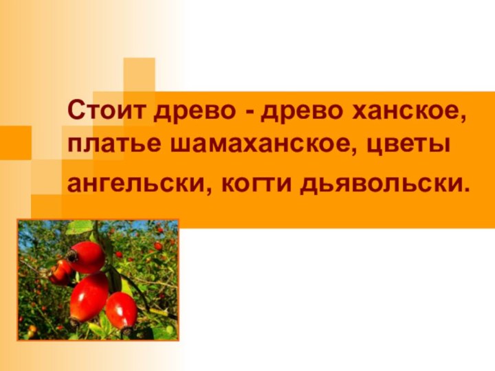 Стоит древо - древо ханское, платье шамаханское, цветы ангельски, когти дьявольски.