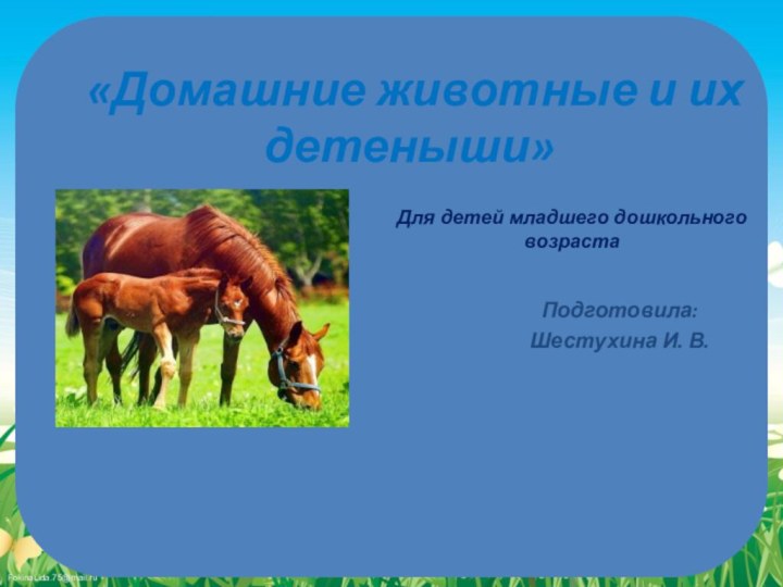 «Домашние животные и их детеныши»Подготовила: Шестухина И. В. Для детей младшего дошкольного возраста