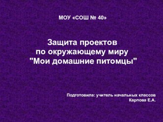 Презентация. Защита проектов по окружающему миру Мои домашние питомцы 1 класс презентация к уроку по окружающему миру (1 класс)