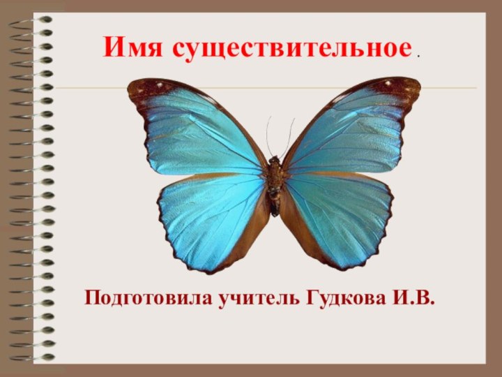 Имя существительное .Подготовила учитель Гудкова И.В.