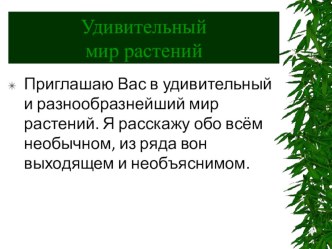 Удивительный мир растений презентация к занятию по окружающему миру (подготовительная группа) по теме