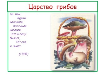 Презентация Царство грибов для детей старшей и подготовительной группы презентация к уроку по окружающему миру (старшая, подготовительная группа) по теме