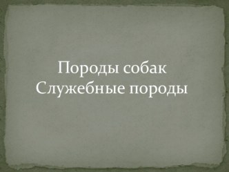 Конспекты занятий внеурочной деятельности план-конспект занятия (1 класс)