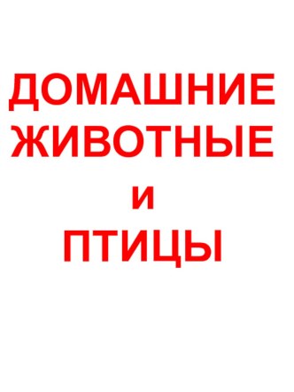 Презентация домашние животные презентация к уроку по окружающему миру (младшая группа)