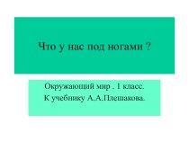 Презентация Что у нас под ногами? презентация к уроку по окружающему миру (1 класс)