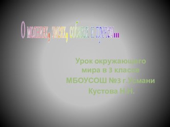 презентация по окружающему миру О молниях, змеях, собаках и прочем презентация к уроку по окружающему миру (3 класс) по теме