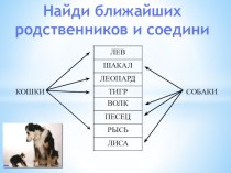 Мини-викторинаНайди родственников кошек и собак, укажи стрелками