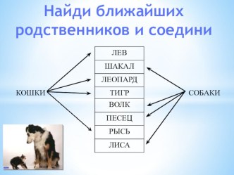 Мини-викторинаНайди родственников кошек и собак, укажи стрелками