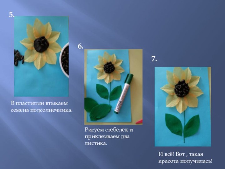 5.6.7.В пластилин втыкаем семена подсолнечника.Рисуем стебелёк и приклеиваем два листика.И всё! Вот