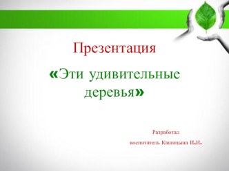 Проект Деревья – наши друзья проект по окружающему миру (старшая группа)