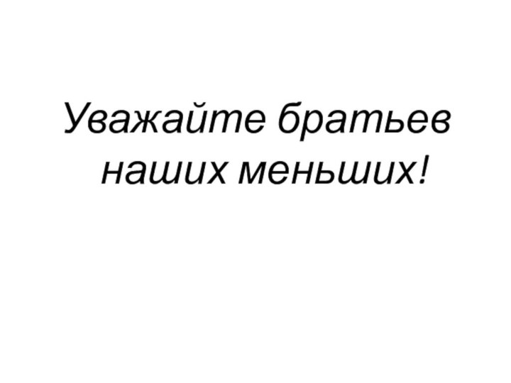 Уважайте братьев наших меньших!