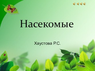 Презентация Насекомые презентация к занятию по окружающему миру (средняя группа)