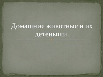 Домашние животные и их детеныши презентация к уроку по окружающему миру (младшая группа)