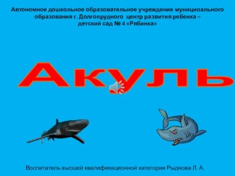 Презентация Акулы