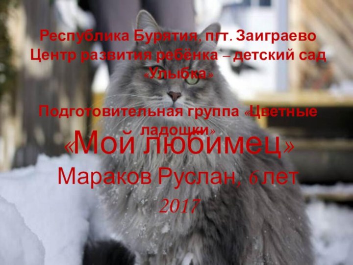 «Мой любимец» Мараков Руслан, 6 лет 2017Республика Бурятия, пгт. Заиграево Центр развития