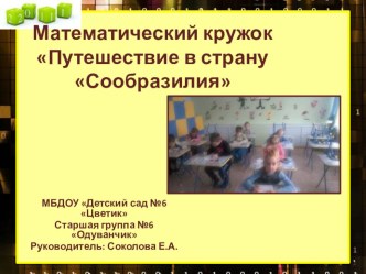 Дополнительное образование в ДОУ. Математический кружок Сообразилия презентация к уроку (старшая группа)