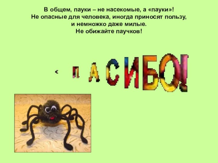 В общем, пауки – не насекомые, а «пауки»! Не опасные для человека,