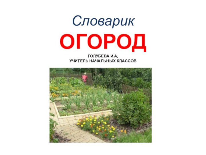 Словарик  Огород Голубева И.А,  учитель начальных классов