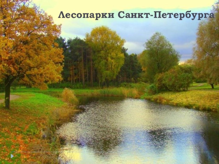 Лесопарки Санкт-Петербурга