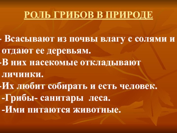 РОЛЬ ГРИБОВ В ПРИРОДЕ Всасывают из почвы влагу с солями и отдают