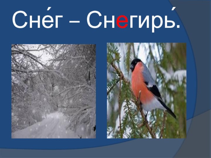 Сне́г – Снегирь́.