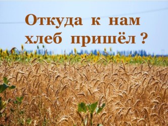 Откуда к нам хлеб пришел? презентация для интерактивной доски по окружающему миру