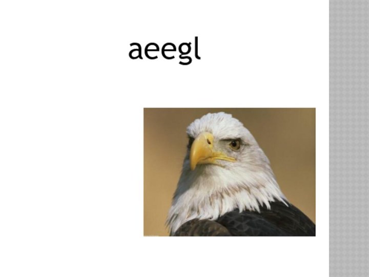 aeegl