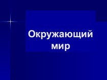 урок-проект проект по окружающему миру (3 класс)