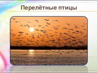 Презентация для детей среднего дошкольного возраста Ознакомление с перелётными птицами. презентация к уроку (средняя группа)
