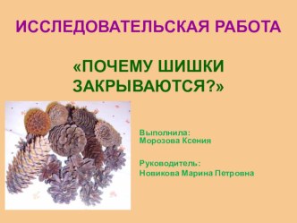 ПОЧЕМУ ШИШКИ ЗАКРЫВАЮТСЯ? опыты и эксперименты по окружающему миру (2 класс)