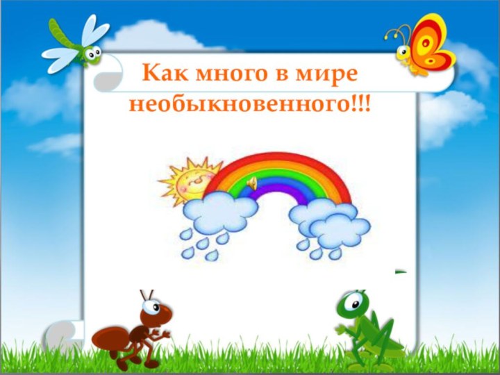 Как много в мире необыкновенного!!!