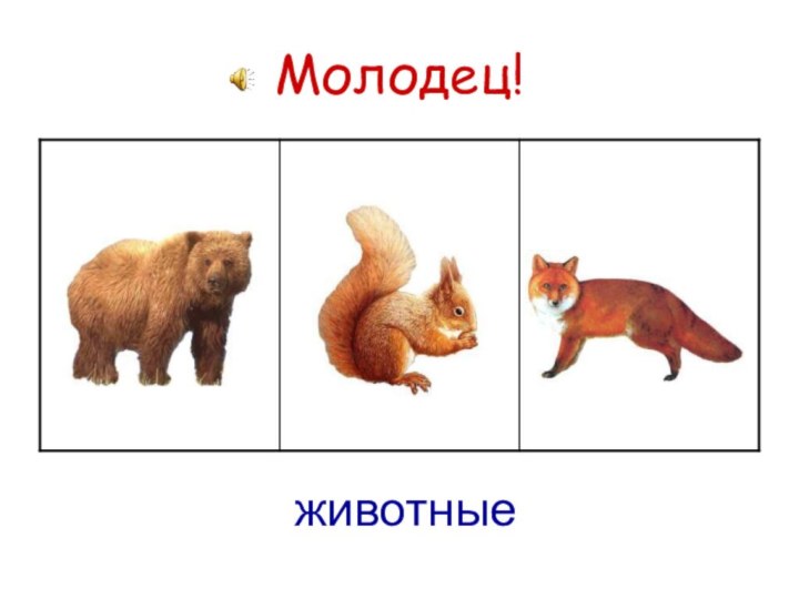 Молодец!животные