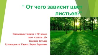 Презентация Почему листья зелёные? презентация к уроку по окружающему миру (1 класс)