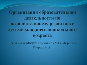 Организация образовательной деятельности по познавательному развитию с детьми младшего дошкольного возраста. Проект: Морское путешествие по сенсорике проект (младшая группа)