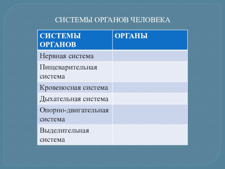 СИСТЕМЫ ОРГАНОВ ЧЕЛОВЕКА