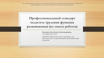 Профессиональный стандарт педагога: трудовая функция развивающая (из опыта работы) презентация к уроку