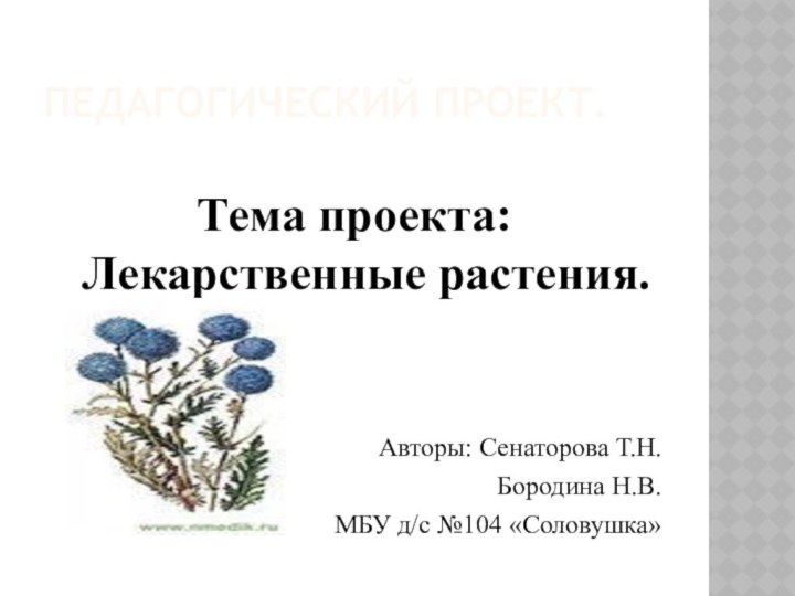 Педагогический проект.Тема проекта: Лекарственные растения.Авторы: Сенаторова Т.Н.Бородина Н.В. МБУ д/с №104 «Соловушка»