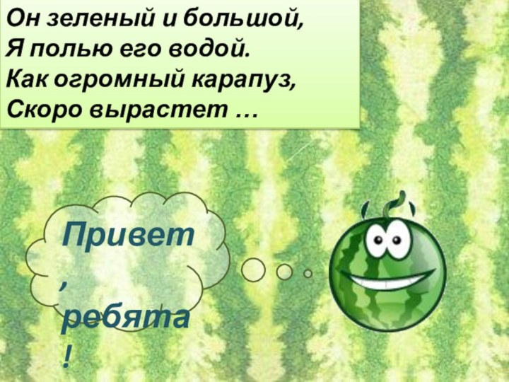 Он зеленый и большой,Я полью его водой.Как огромный карапуз,Скоро вырастет … Привет, ребята!