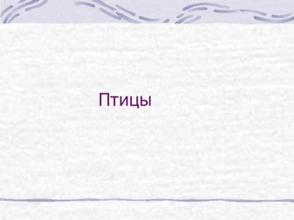 Презентация Птицы план-конспект занятия по развитию речи (старшая группа)