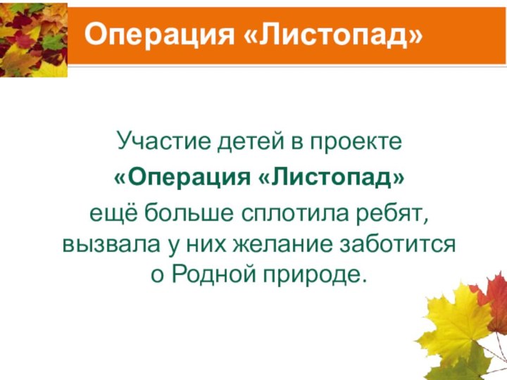 Операция «Листопад»Участие детей в проекте «Операция «Листопад» ещё больше сплотила ребят, вызвала