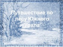 Путешествие в леса Южного Урала материал по окружающему миру (старшая группа) по теме